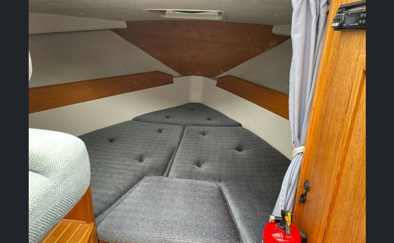 Flying Albatross 870-kuva-4